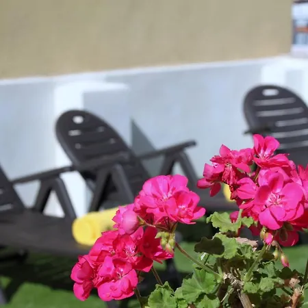 Albercutx Pollentia 2 Поланко