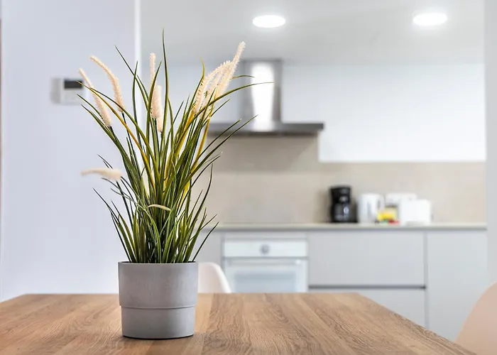 Albercutx Pollentia 2 Port de Pollença