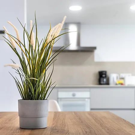 Albercutx Pollentia 2 波连萨港